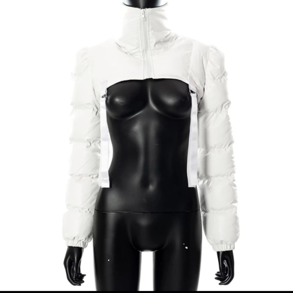 Techwear Solid Ribbons Turtleneck Cropped  Coat